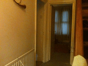 e0103408_20325451.gif