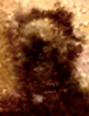e0103408_2033172.gif