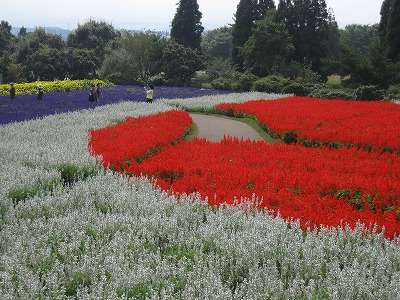 熊本のつづき～！！_f0133510_19255392.jpg