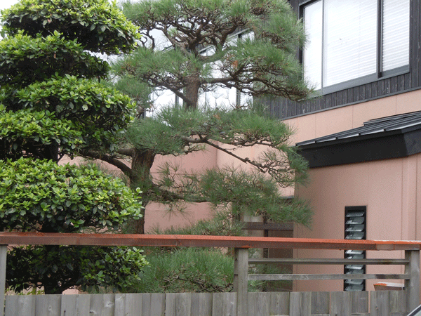 b0159611_22201665.gif