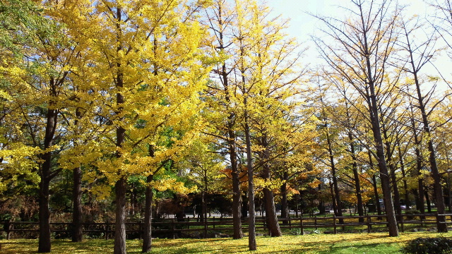 a0151913_12105978.jpg