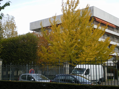 c0124619_23137.jpg
