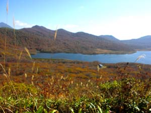 d0132128_12261861.jpg