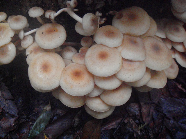 b0147630_8574046.jpg