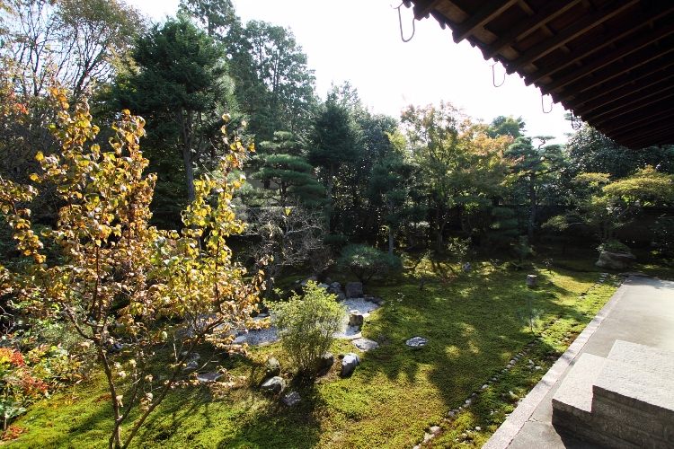 b0169330_829244.jpg
