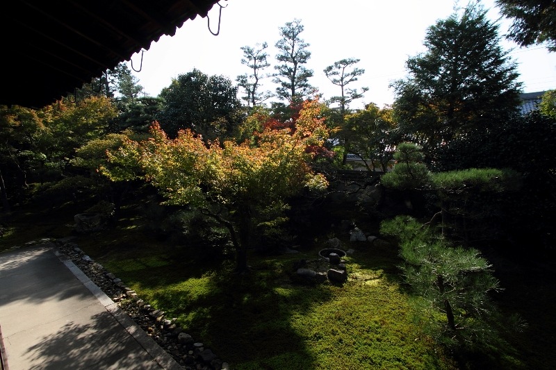 b0169330_8294456.jpg