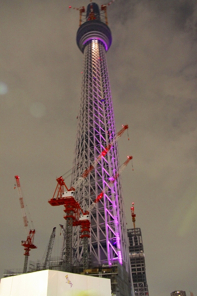 f0229832_17262663.jpg