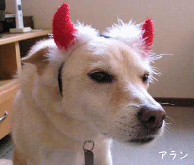 a0166338_2251028.gif