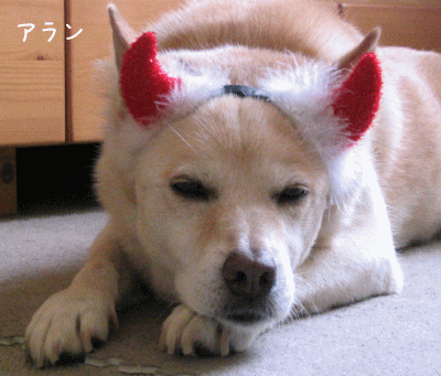 a0166338_22535131.gif
