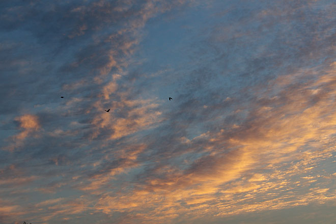 c0067040_2250336.jpg