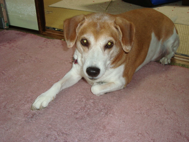 e0060041_91043.jpg