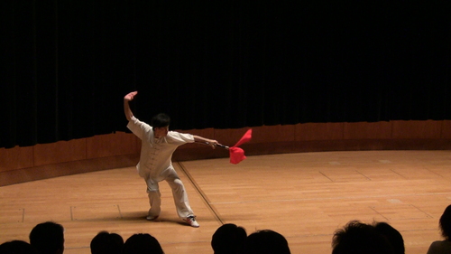 【第三回 中国武術演武会】 2010 NO.8_a0039748_049131.jpg