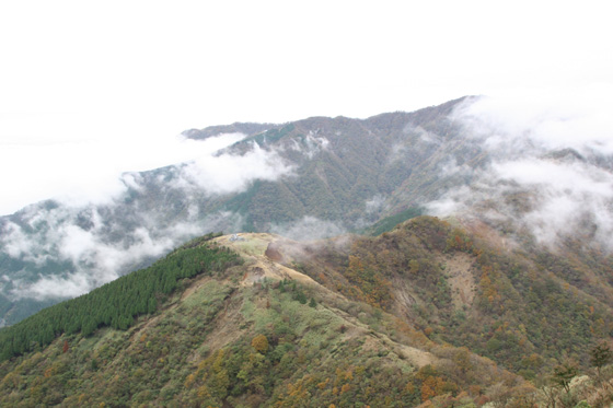 a0120949_645440.jpg
