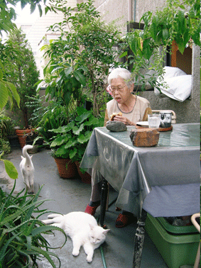e0200261_13325537.gif