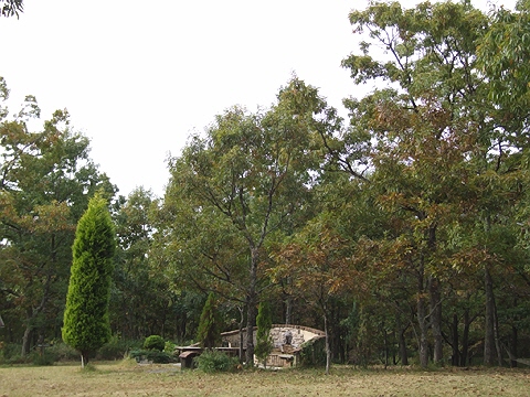d0019169_1881065.jpg