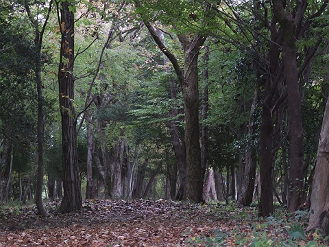 d0019169_1893842.jpg