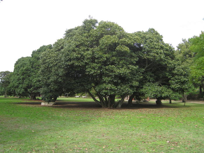 b0191670_0284951.jpg