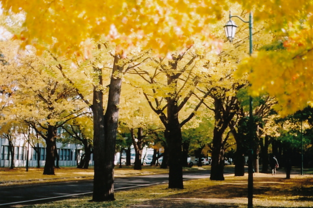 e0199776_2063147.jpg