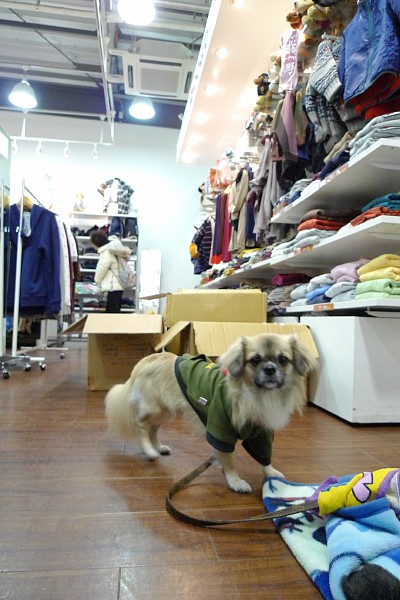 ハク君_c0109780_0135161.jpg