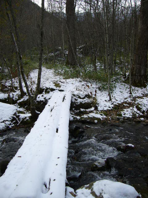 e0210380_2215188.jpg