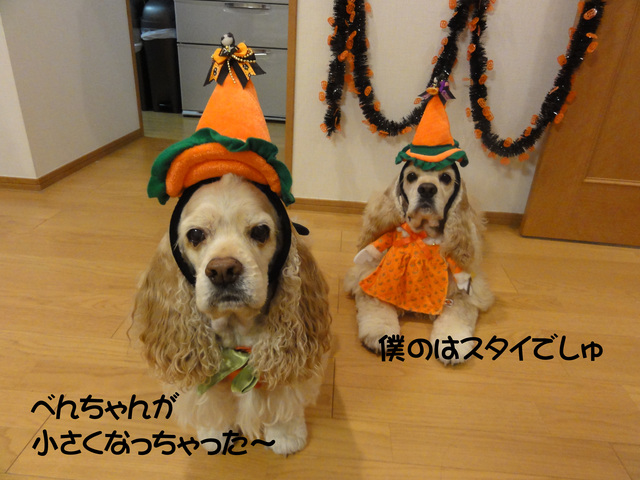 f0218182_2213883.jpg