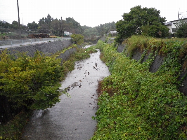c0212083_1548840.jpg