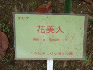 神代植物園･･･♪_d0129796_9284729.jpg