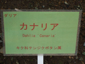 神代植物園･･･♪_d0129796_928556.jpg