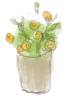 c0204298_9122749.gif