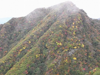 f0187402_21485050.jpg