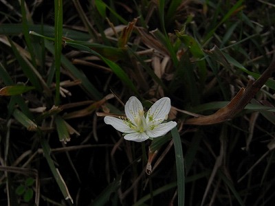 f0187402_21485836.jpg
