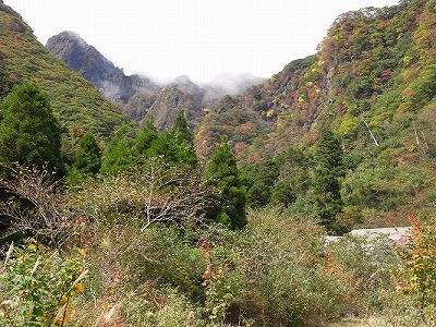 f0187402_21493281.jpg