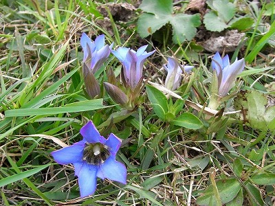f0187402_2152866.jpg