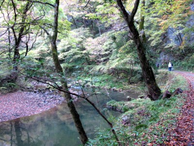 帝釈峡へ_c0036203_2205618.jpg