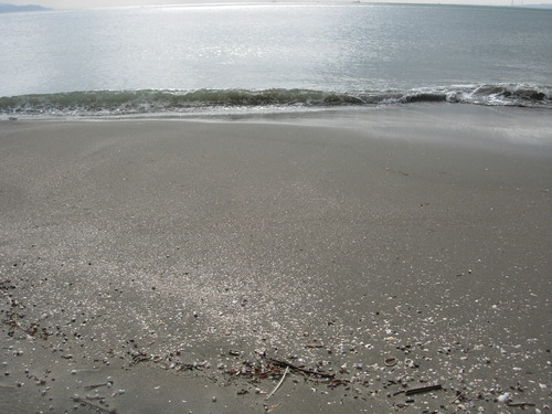 b0134008_2021454.jpg
