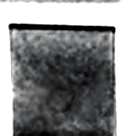 e0103408_1554751.gif