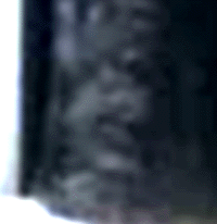 e0103408_1564563.gif