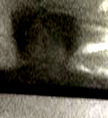 e0103408_1573844.gif