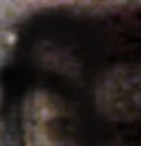 e0103408_1801958.gif