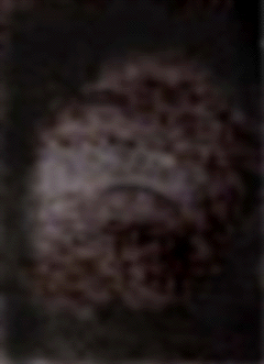 e0103408_18133035.gif