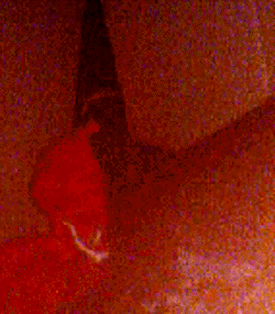 e0103408_1820211.gif