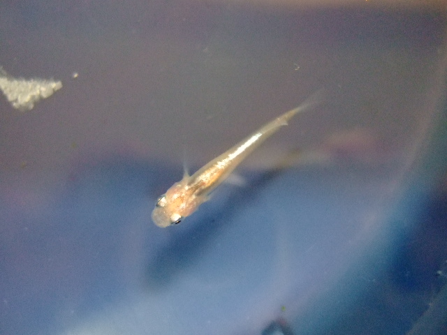 f0152308_201542.jpg