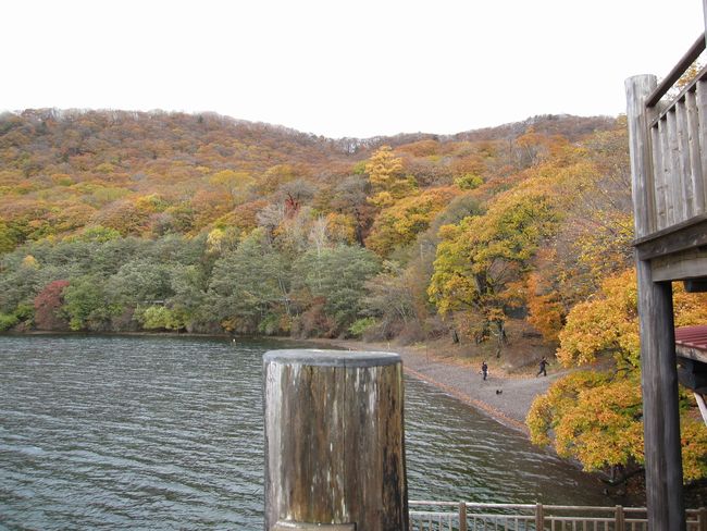 日光いろは坂・中善寺湖の紅葉_e0142311_20201355.jpg
