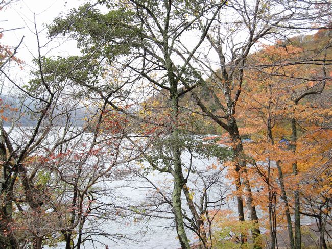 日光いろは坂・中善寺湖の紅葉_e0142311_20214139.jpg