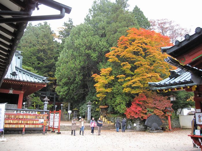 日光いろは坂・中善寺湖の紅葉_e0142311_20264442.jpg