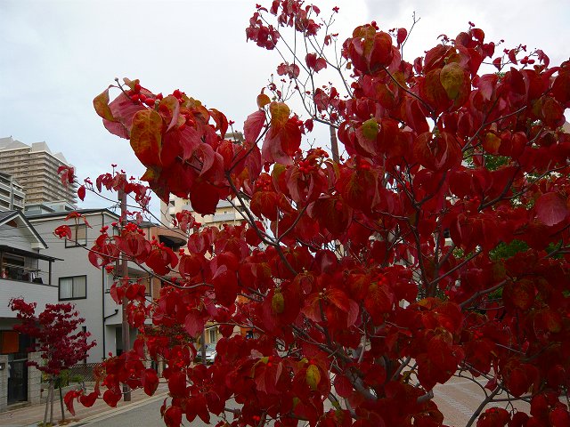f0223914_23504288.jpg