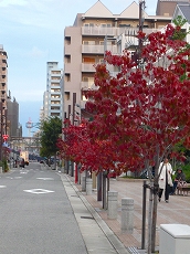 f0223914_2359128.jpg