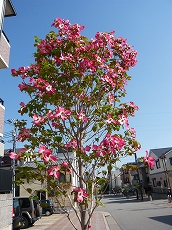 f0223914_23591461.jpg
