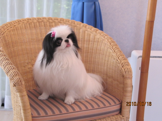 c0200916_247093.jpg