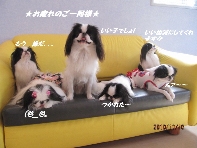 c0200916_313981.jpg